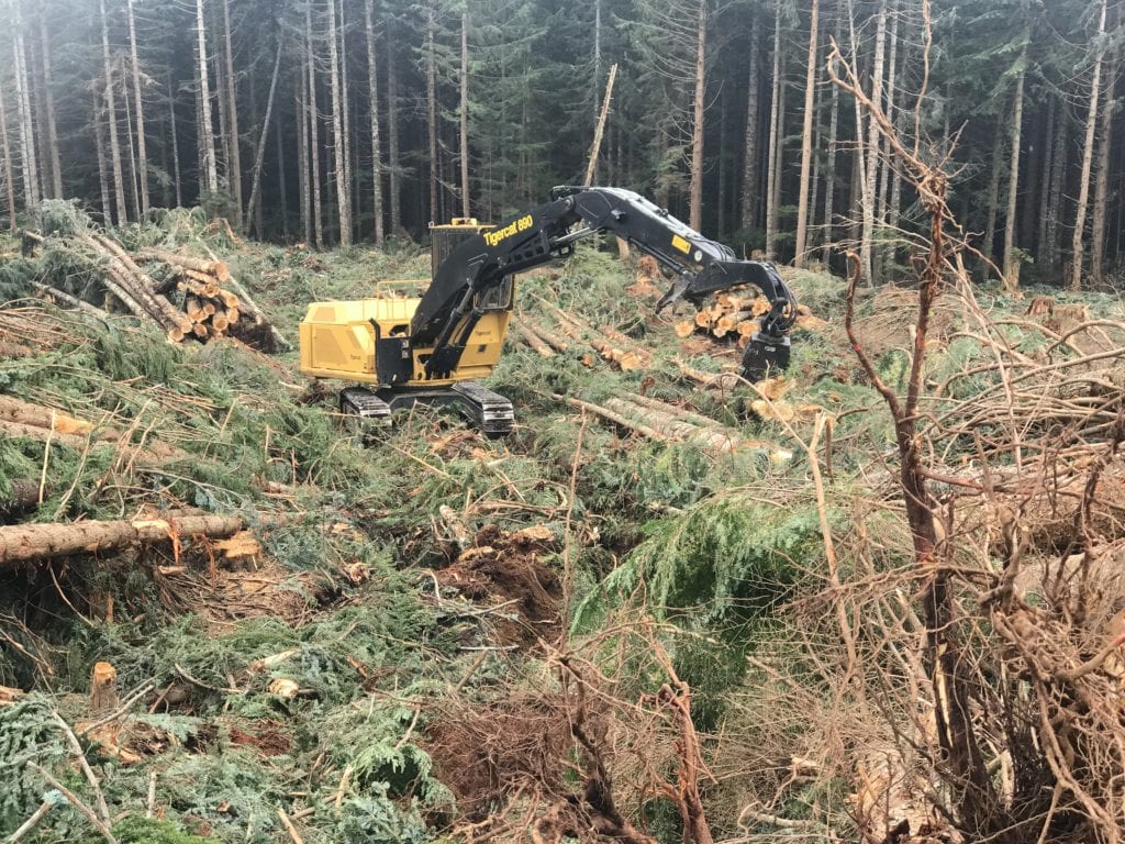 Forestry machinery at work on site