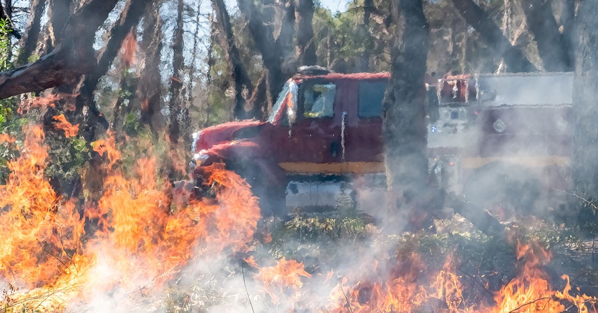forest fire burning next to truck