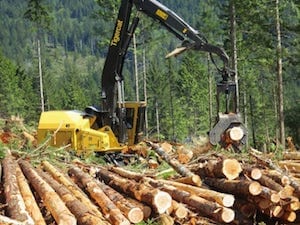 Triad logging machinery in the field stripping logs to illustrate Forestry Equipment and Logging Equipment Bend/Prineville