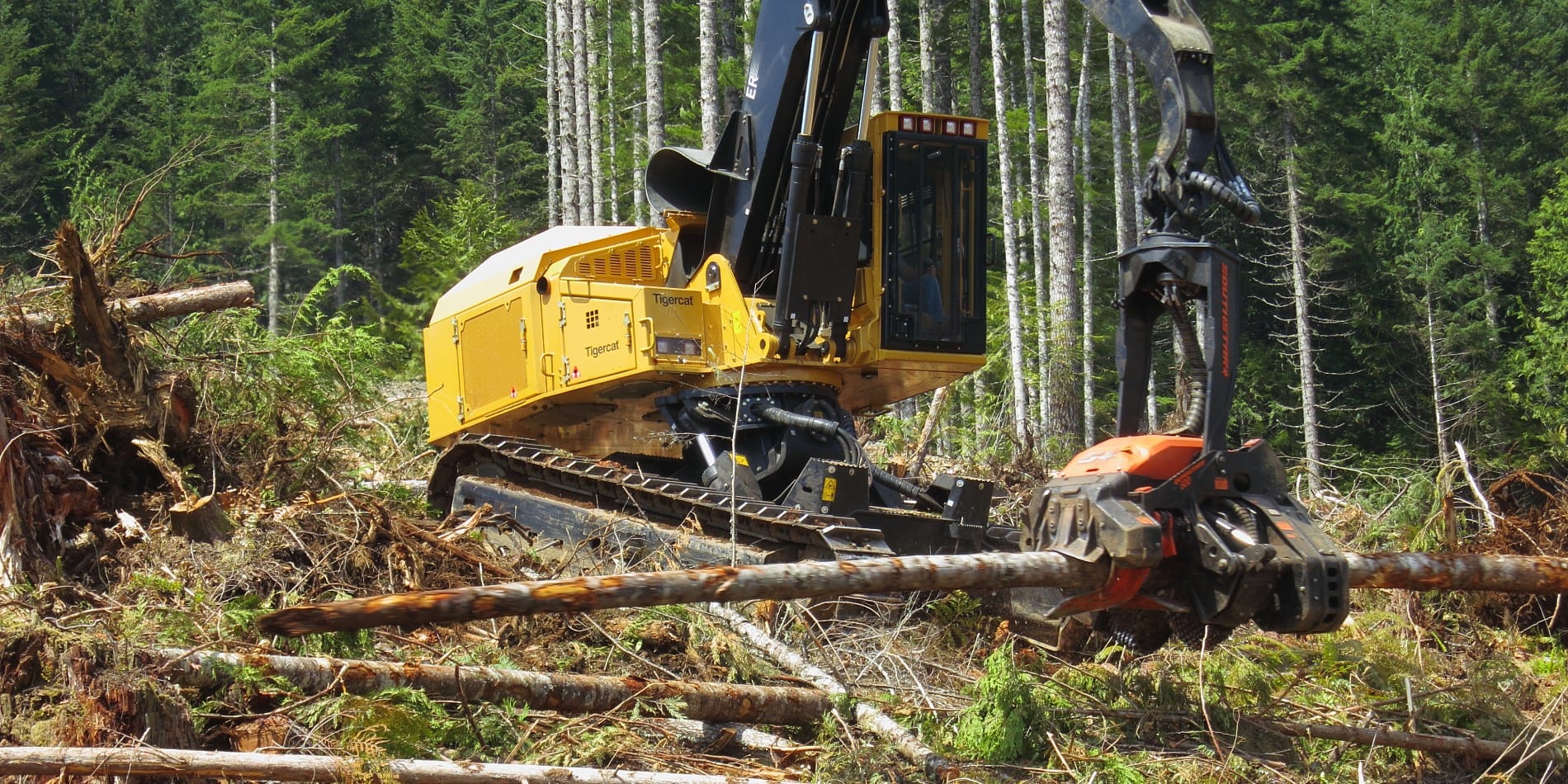 Forest machinery достижения